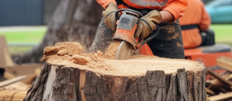 Stump Grinding Brisbane Abc Tree Lopping Remove Unsightly Stumps