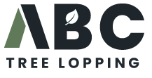 Tree Lopping Brisbane | ABC Tree Lopping Brisbane